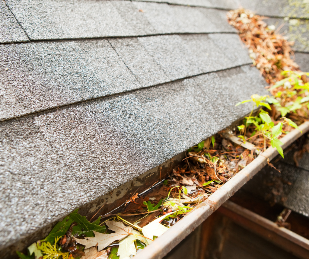 clogged gutters can cause roof damage