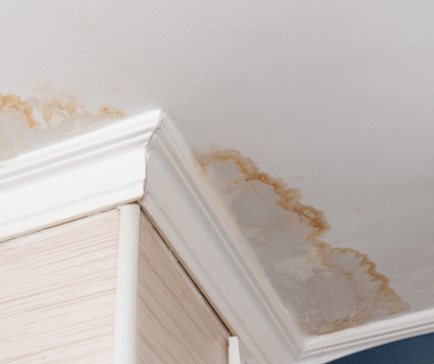 ceiling leak signs of mold
