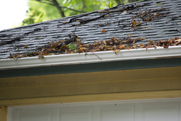 Rusty and debris filled gutters on a house
