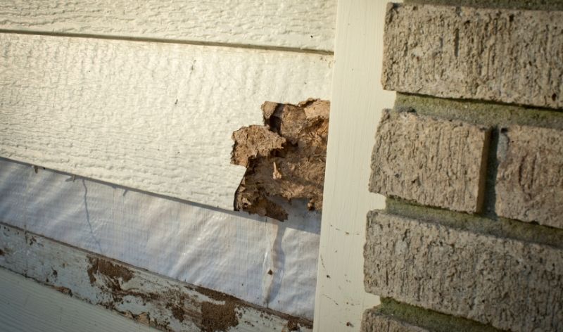damaged siding on New Jersey home