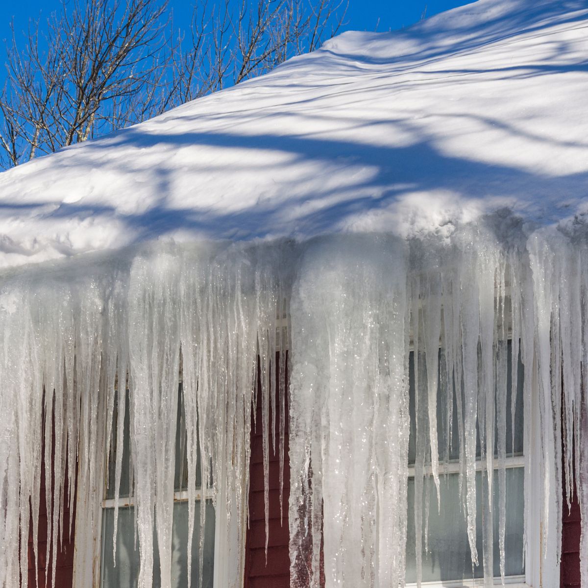 ice dams